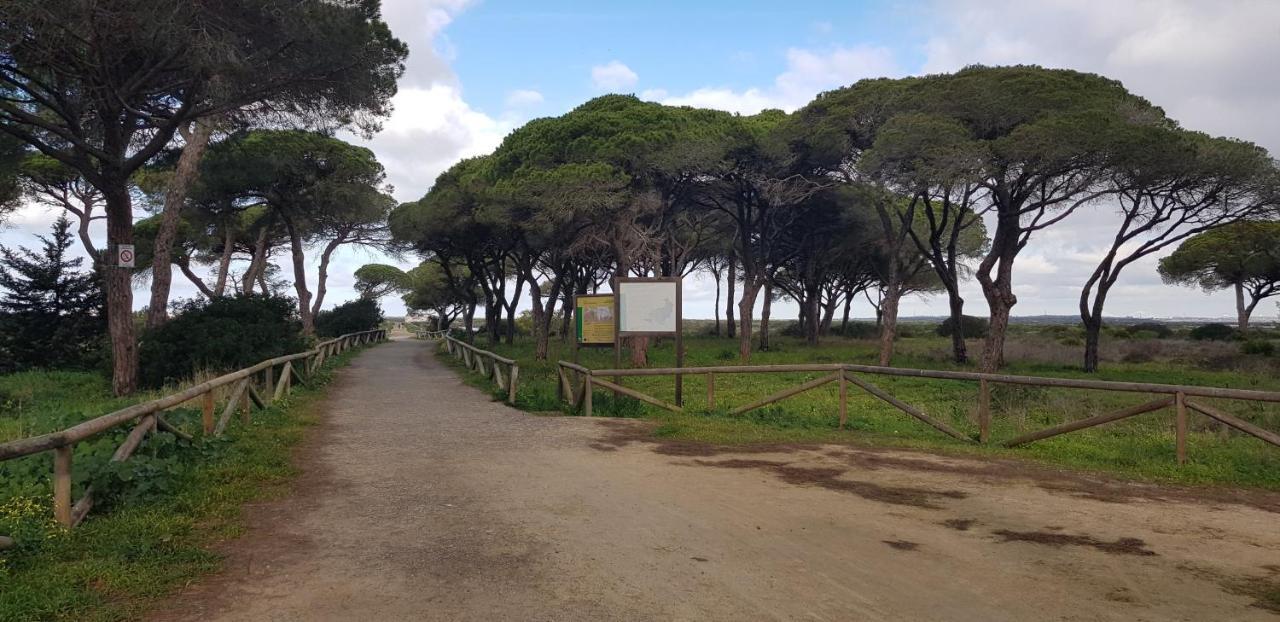 Las Nubes En Sancti Petri-Chiclana Chiclana de la Frontera Kültér fotó